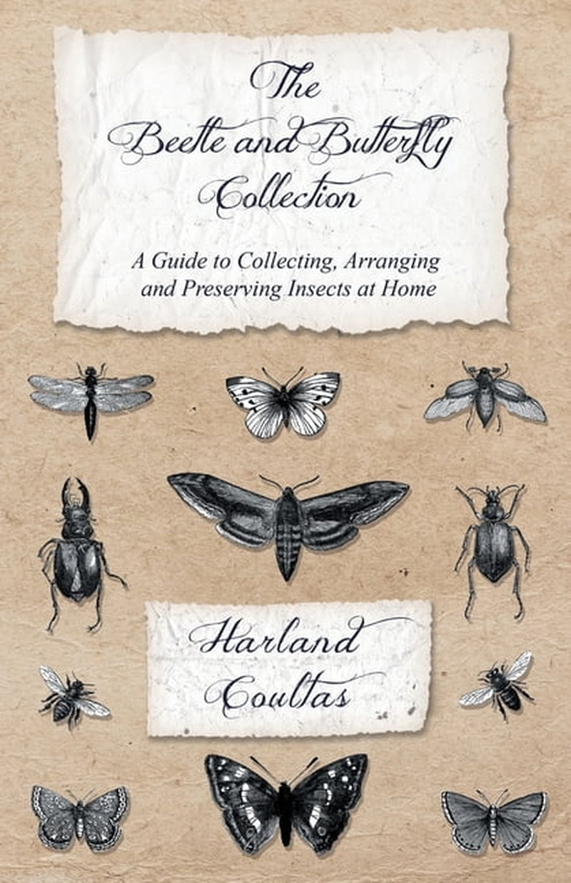 The Beetle and Butterfly Collection - a Guide to Collecting, Arranging and Preserving Insects at Home, (Paperback)