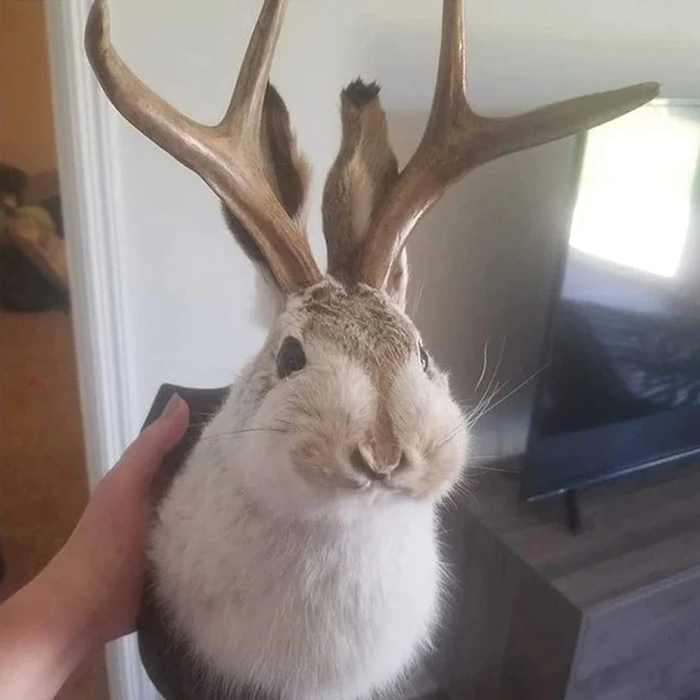 Indoor Bedroom Sculpture Bunny Head Antlers Wall Hanging Decoration Jackalope Decor Animal Wall Mount for Home Wall Decoration