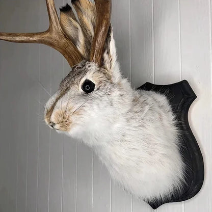 Indoor Bedroom Sculpture Bunny Head Antlers Wall Hanging Decoration Jackalope Decor Animal Wall Mount for Home Wall Decoration