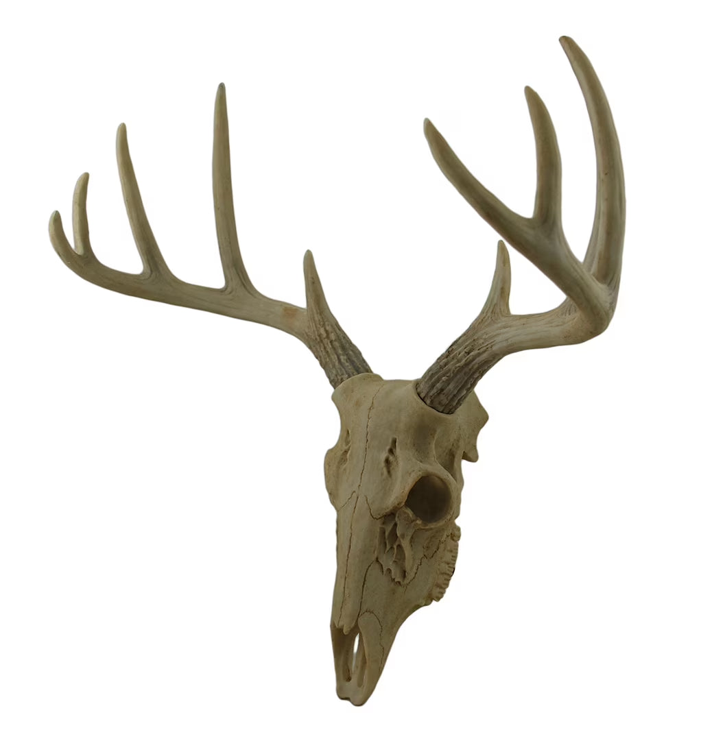 Faux Aged Finish Deer Skull 10 Point Antlers Wall Sculpture 15 Inch