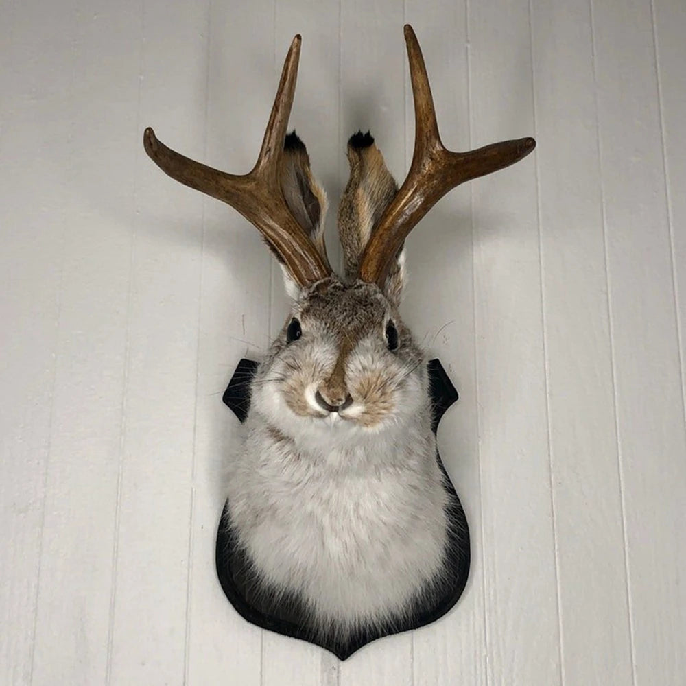 Indoor Bedroom Sculpture Bunny Head Antlers Wall Hanging Decoration Jackalope Decor Animal Wall Mount for Home Wall Decoration