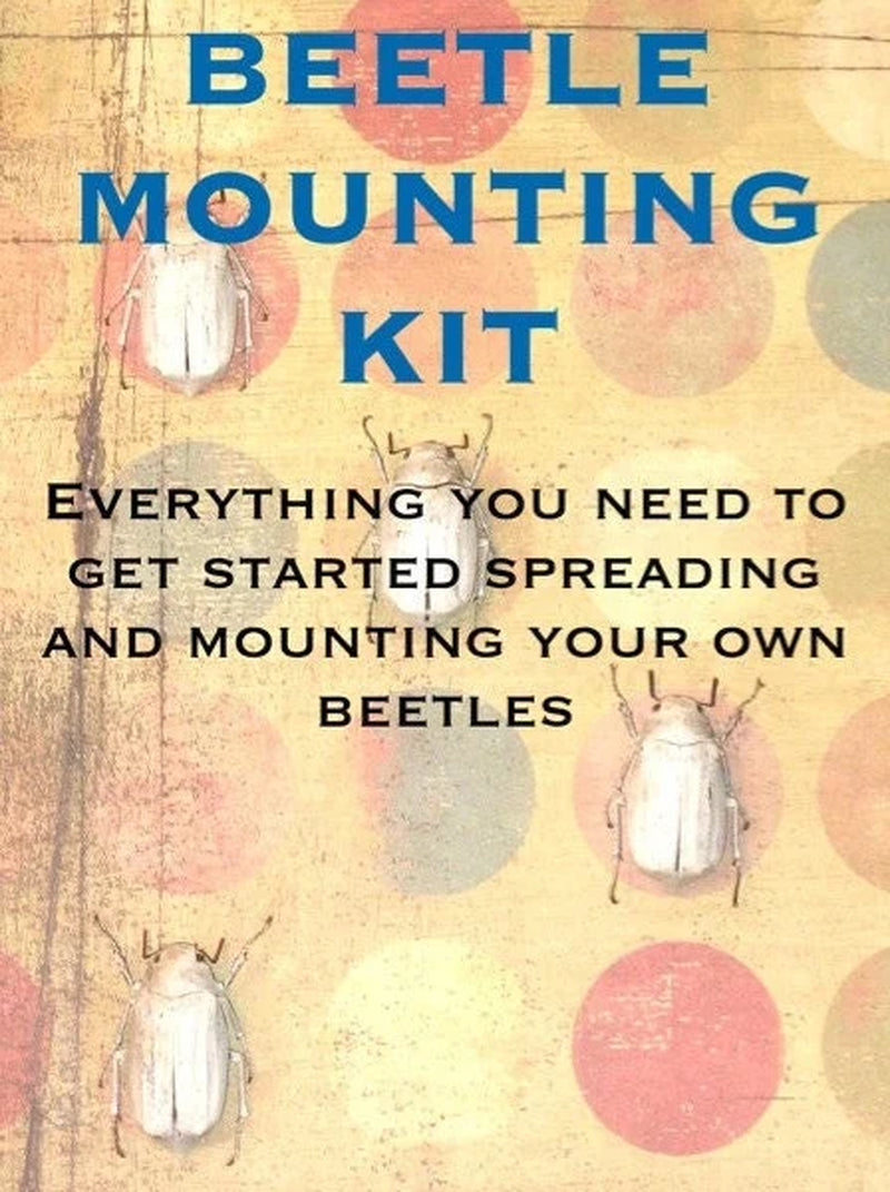 Beetle Mounting Kit for Beginners, with Real Beetles and Tools