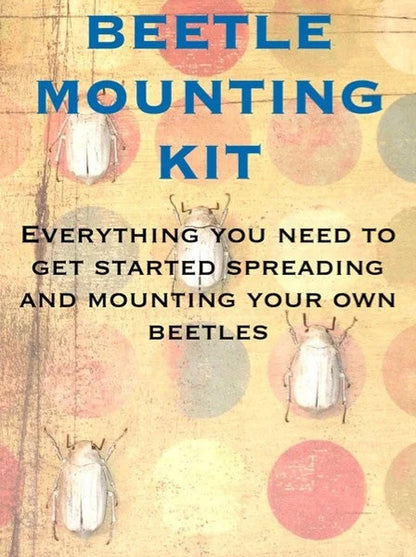 Beetle Mounting Kit for Beginners, with Real Beetles and Tools
