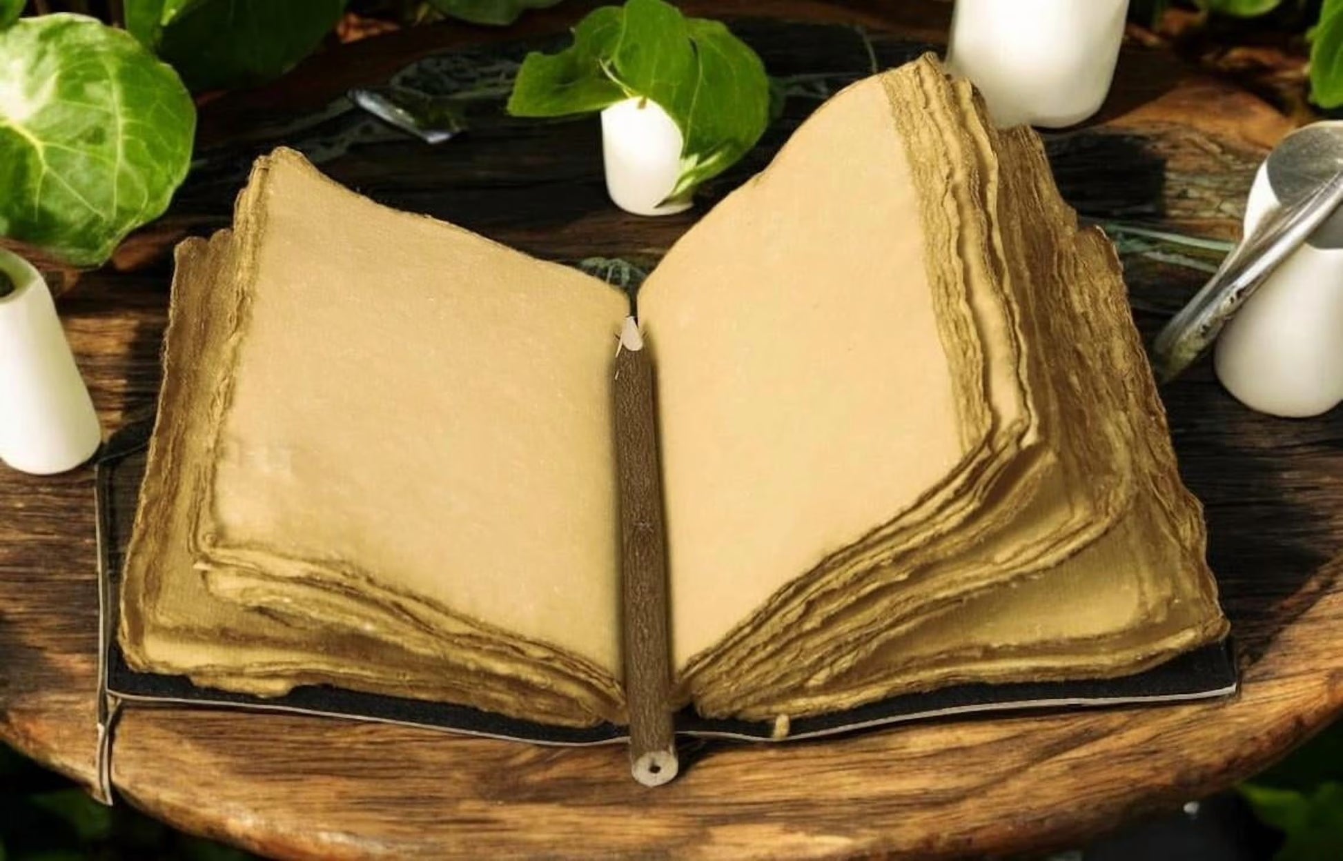 Tree of Life Journal