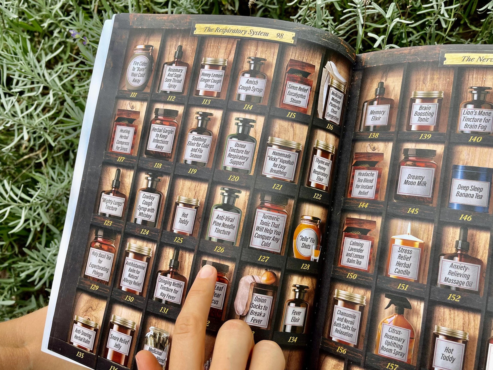 Forgotten Home Apothecary : 250 Powerful Remedies at Your Fingertips